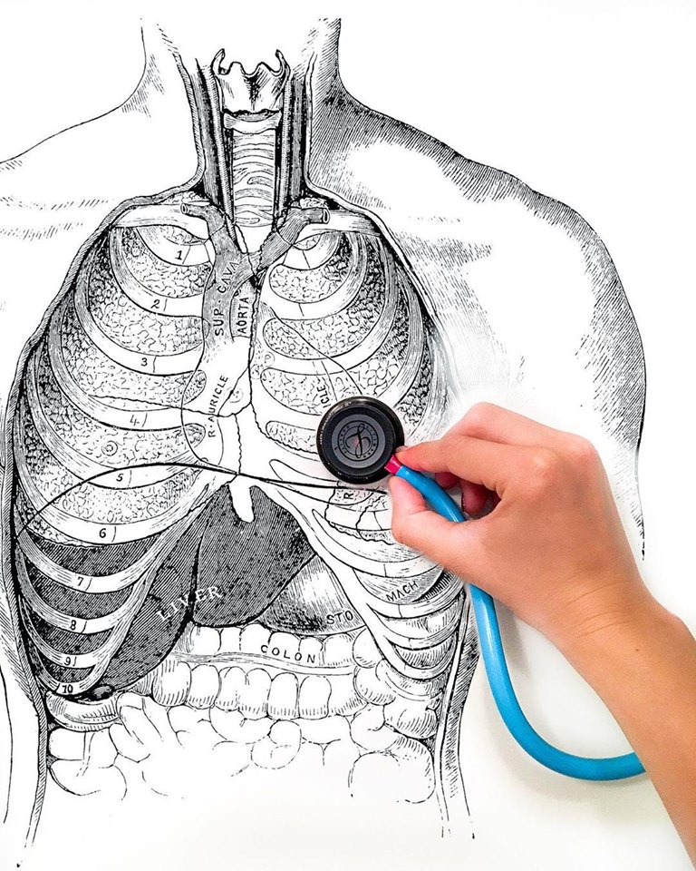 What are the uses of stethoscope Littmann